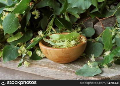 Linden flowers with leaves in wooden bowl on wooden table . Tilia.. Linden flowers with leaves in wooden bowl on wooden table . Tilia