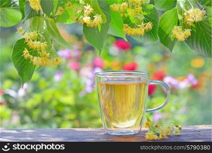 Linden tea in a glass cup in garden