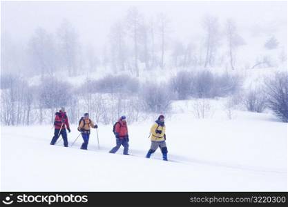 Line of People Cross Country Skiing