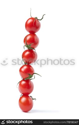 line of tomatoes isolated