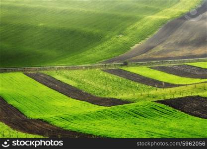 Lines and waves fields, South Moravia, Czech Republic