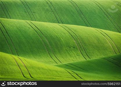Lines and waves fields, South Moravia, Czech Republic