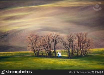 Lines and waves with trees and chapel in the spring in area known as Moravian Tuscany, South Moravia, Czech Republic. Lines and waves with trees and chapel in the spring, South Moravia, Czech Republic