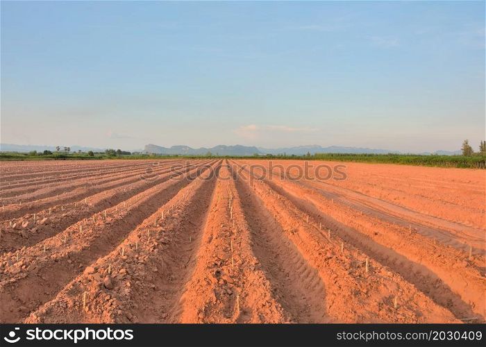 Lines of soil made by tractors has blue sky and mountain background ,agriculture in Thailand