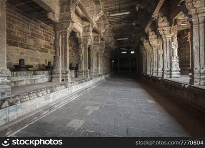 Lingams and columns in Hindu temple. Ekabmareswarar Temple, Kanchipuram, Tamil Nadu, India. Lingams and columns in Hindu temple