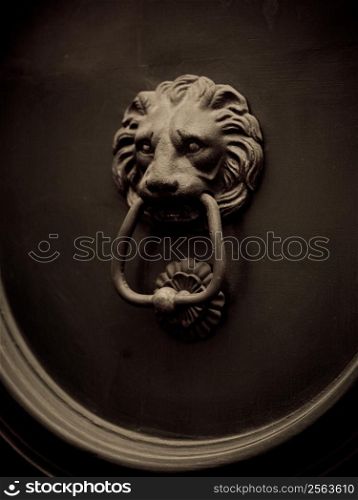 Lion&acute;s head door-knocker