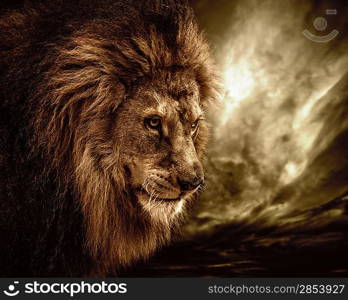 Lion against stormy sky