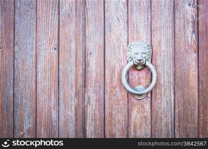 Lion head on wood. Particular of a knocker