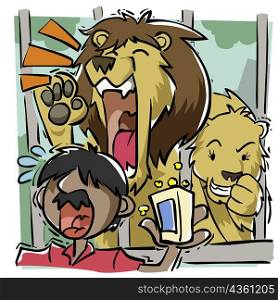 Lion in a cage laughing at a man holding a bag of popcorn