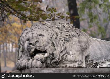Lion statue on pedestal in Lviv, Ukraine&#xA;