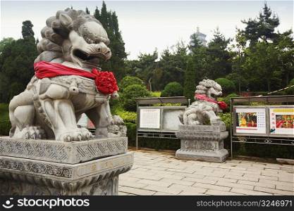 Lion statues in a temple, Zhanshan Temple, Qingdao, Shandong Province, China