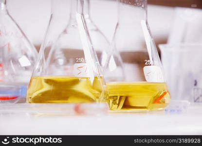 Liquid in a conical flask