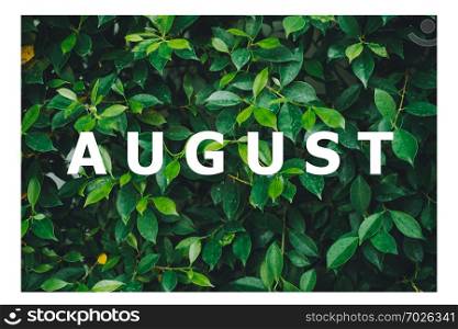 List of calendar months Designed on a natural green leaf background