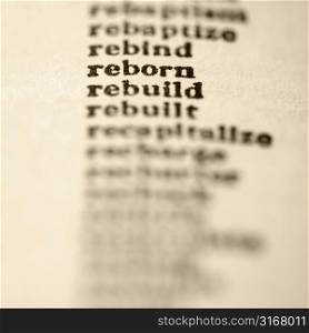 List of words in alphabetical order including words reborn and rebuild.