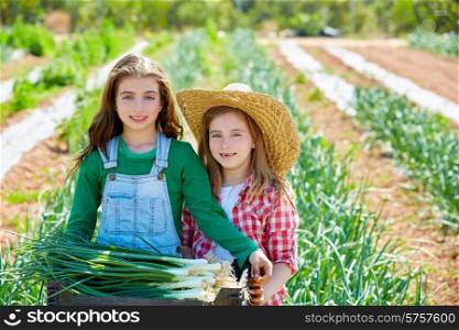 Litte kid farmer girls in onion harvest at orchard