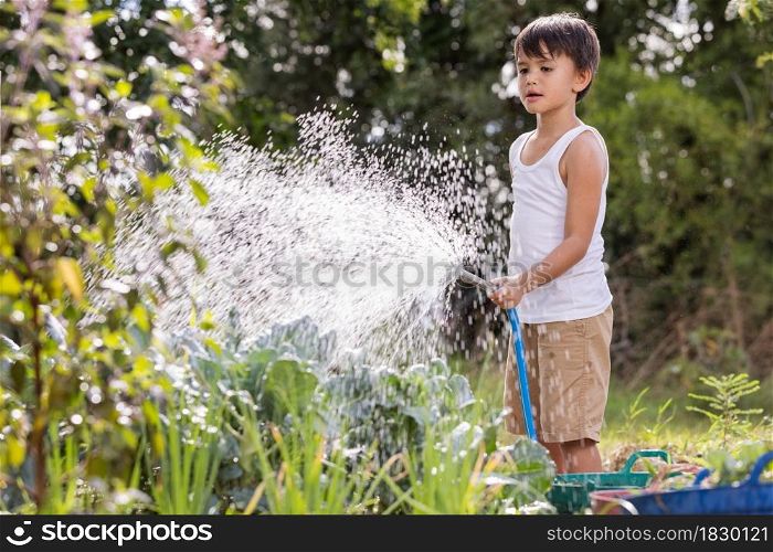 Littile boy cares for plants, watering green vegetable from a watering rubber hose at sunset. Farming or backyard gardening concept.Simple Living.