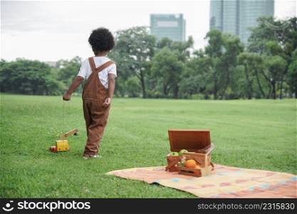 Little African kid boy standing back without face and playing wooden car truck toys alone on grass at park with picnic basket of fruits and mat on weekend