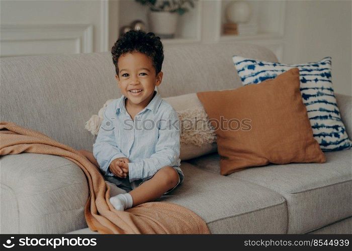 Little afro kid boy in casual clothes sitting on comfortable sofa with different colors pillows in living room ambience enjoying leisure moments at home. Cute toddler having fun and playing indoors. Sweet afro kid boy in casual clothes sitting on comfortable sofa and playing indoors