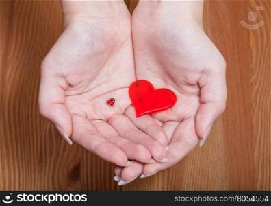 little and big hearts in female hands with wooden background