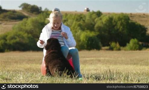 Little Blond Girl Feeding Newfoundland Dogs Outdoor
