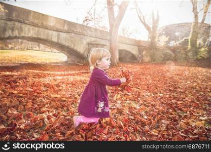 Little blond girl running happily with a bunch of colorful leaves in her hands, enjoying the beauty of autumn, under the November sun.
