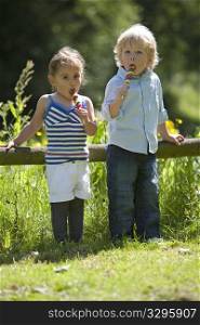 Little Boy And Girl Eating A Lollypop In The Parc