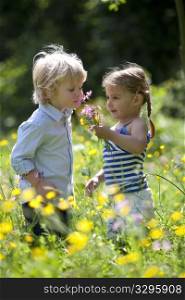 Little Boy And Girl Picking Flowers In The Parc