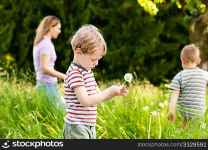 Little boy blowing dandelion seed for a wish on a meadow outdoors in summer, in the background his brother and mother