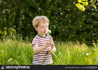 Little boy blowing dandelion seed for a wish on a meadow outdoors in summer