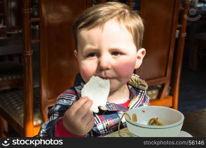 Little boy enjoying his meal at a Chinese restaurant.
