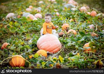 Little boy having fun on a tour of a pumpkin farm at autumn. Child near giant pumpkin. Pumpkin is traditional vegetable used on American holidays - Halloween and Thanksgiving Day. Little boy having fun on a tour of a pumpkin farm at autumn. Child near giant pumpkin. Pumpkin is traditional vegetable used on American holidays - Halloween and Thanksgiving Day.