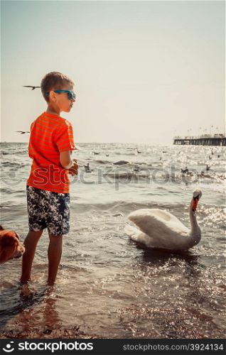 Little boy kid on beach have fun feeding swan.. Little boy kid child having fun feeding swan on beach at sea. Summer vacation holidays relax.