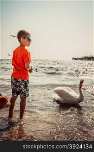 Little boy kid on beach have fun feeding swan.. Little boy kid child having fun feeding swan on beach at sea. Summer vacation holidays relax.