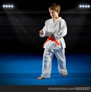 Little boy martial arts fighter at sports hall