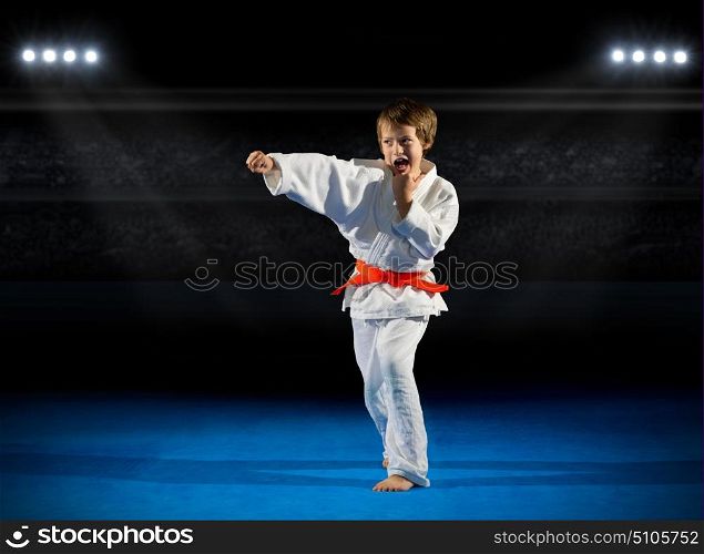 Little boy martial arts fighter at sports hall