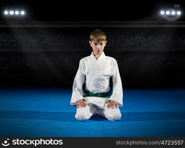 Little boy martial arts fighter in sports hall