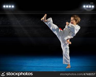 Little boy martial arts fighter in sports hall