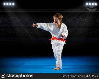Little boy martial arts fighter in sports hall