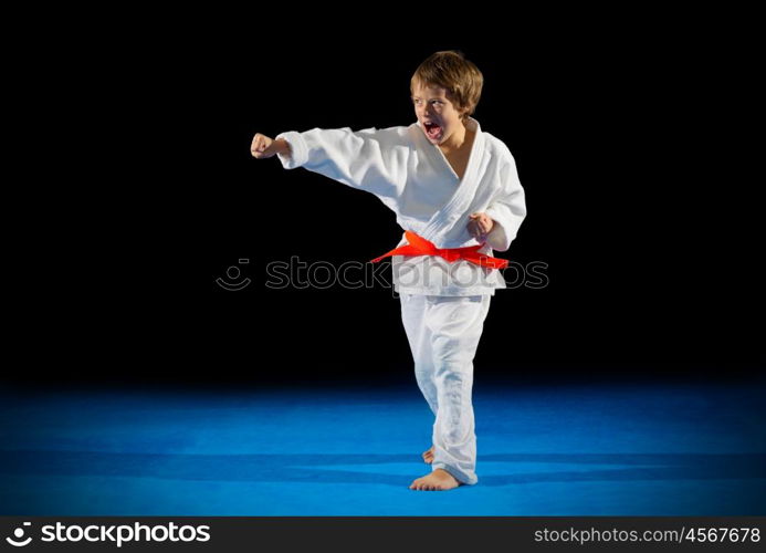 Little boy martial arts fighter isolated