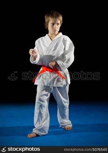 Little boy martial arts fighter isolated