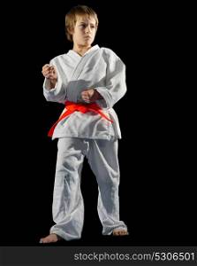 Little boy martial arts fighter isolated