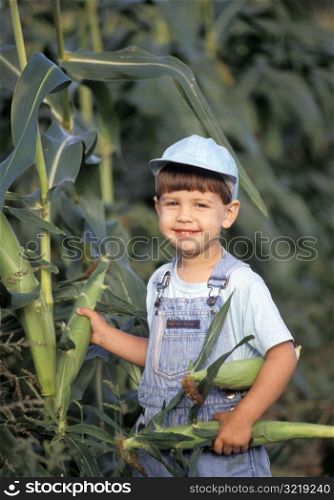 Little Boy Picking Corn
