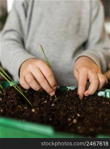 little boy planting sprouts home