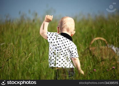 little boy play in green grass