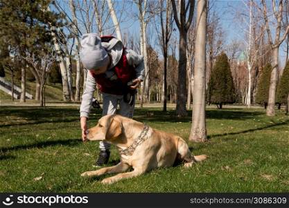 little boy playing with dog labrador in spring park. boy walking with a pet