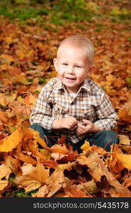 Little boy sitting in maple autumn leaves and smile. Outdoor portrait