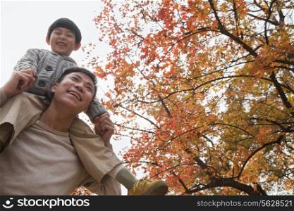 Little boy sitting on his fathers shoulders, walking through the park in autumn