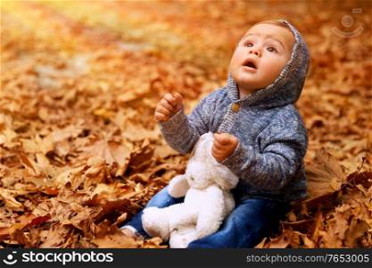 Little boy sitting on the ground covered with dry leaves in the park, with wonder looking up to the sun, playing with his soft toy outdoors, enjoying warm autumn weather
