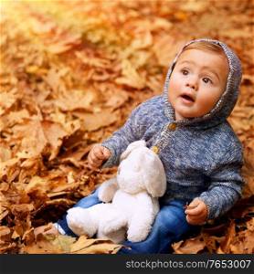 Little boy sitting on the ground covered with dry leaves in the park, with wonder looking up to the sun, playing with his soft toy outdoors, enjoying warm autumn weather