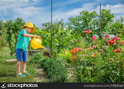 Little boy watering in the vegetable garden. Little boy watering
